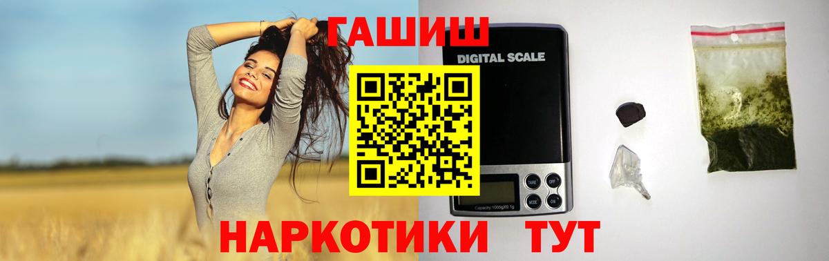 ГАШ Premium Кириши