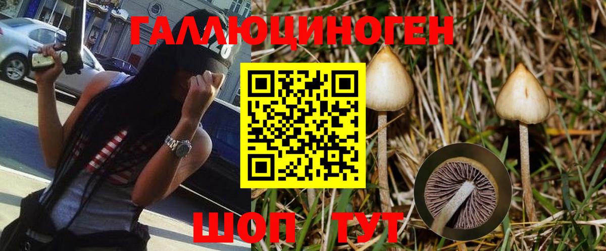 Кириши  Галлюциногенные грибы Psilocybe  Вход с VPN 